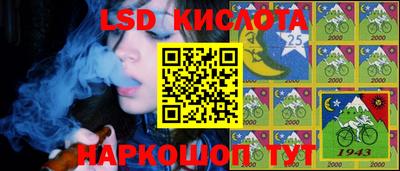 мдпв Камышлов