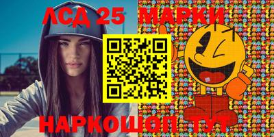 мдпв Камышлов