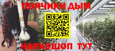мдпв Камышлов