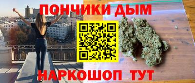 мдпв Камышлов