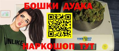 мдпв Камышлов