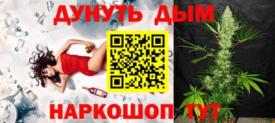 мдпв Камышлов