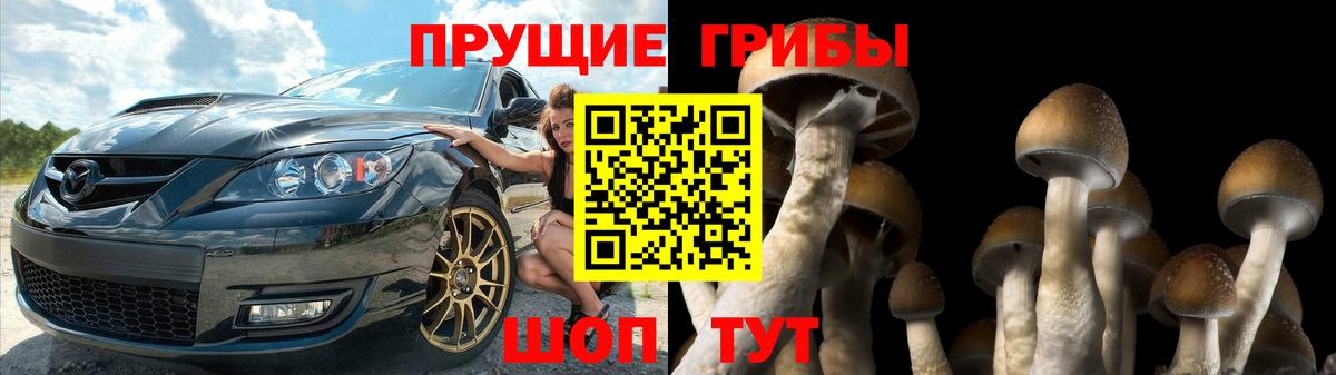 Костомукша  Галлюциногенные грибы Psilocybe  Вход с VPN  Галлюциногенные грибы MAGIC MUSHROOMS 
